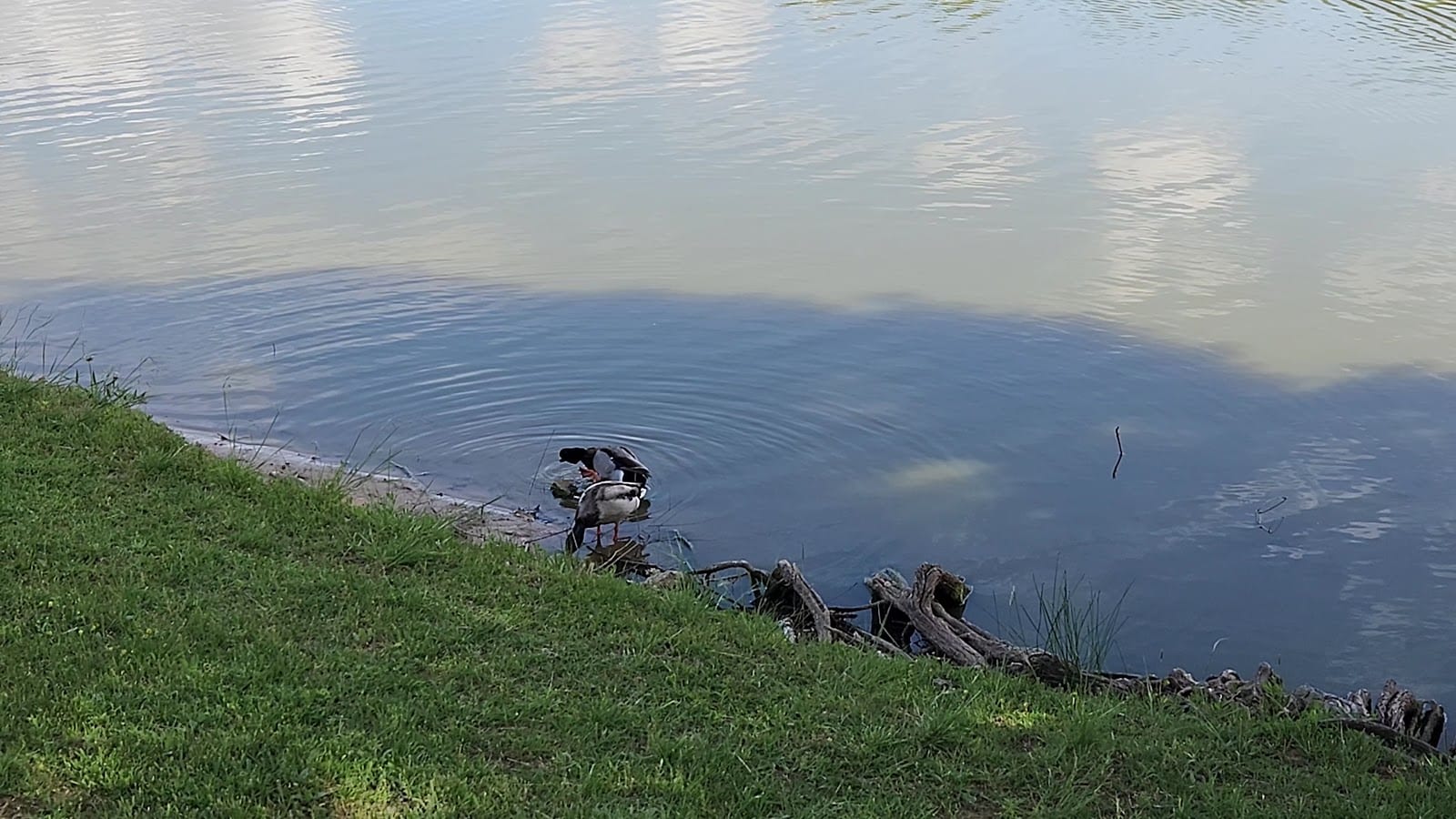 Leonard and Helen Johns Park, photo 2