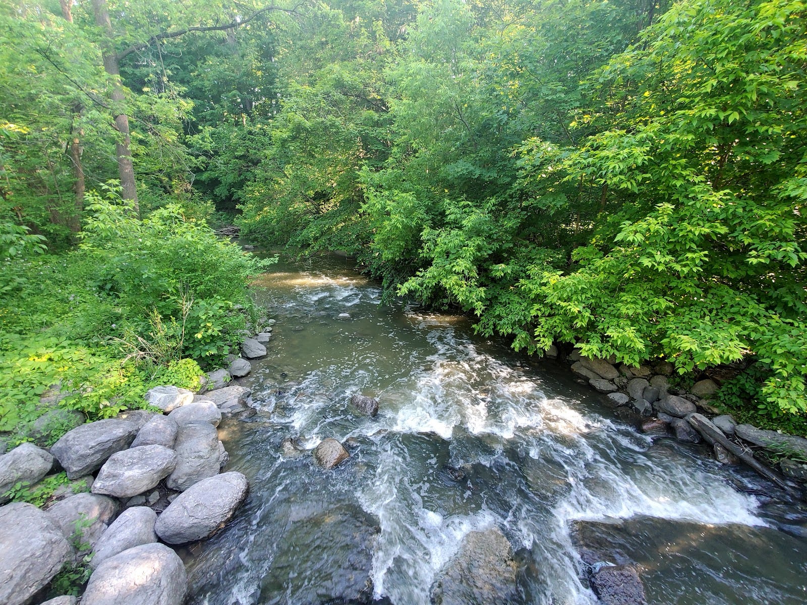 Derrydowns Park