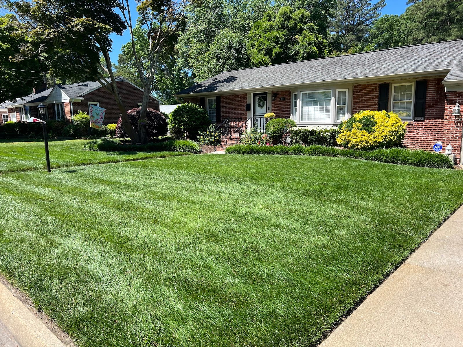 VirginiaGreen