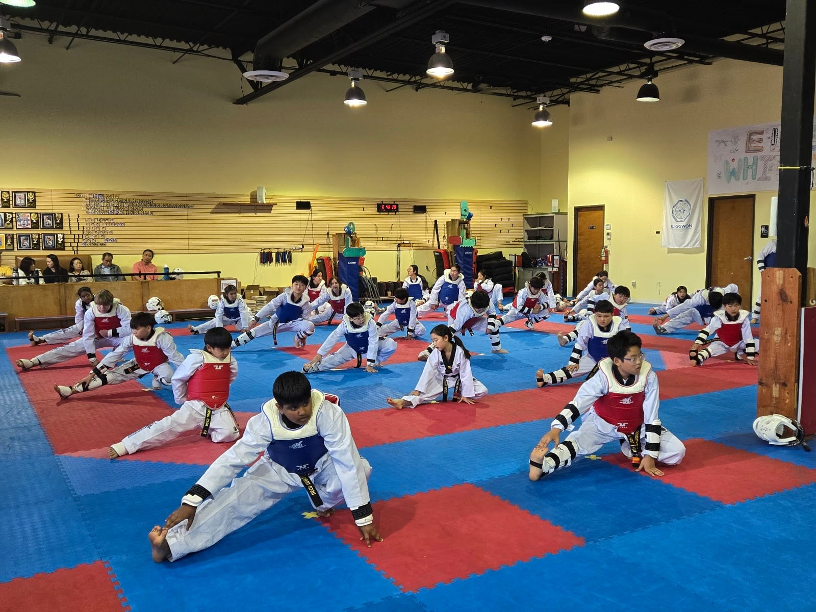 Elite White Tiger Taekwondo(Lewisville / Coppell)