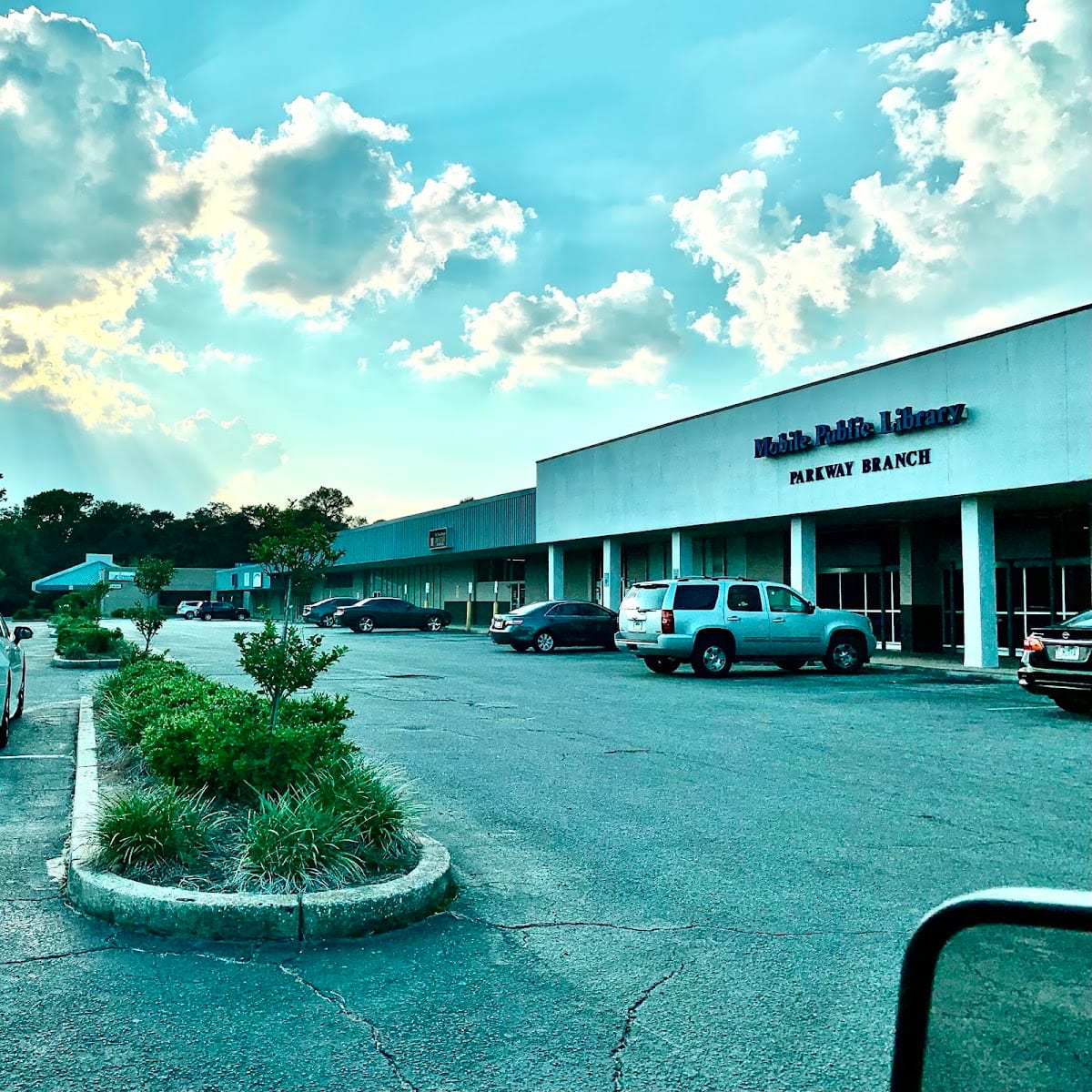 DYNAMIC Pain & Wellness, photo 3