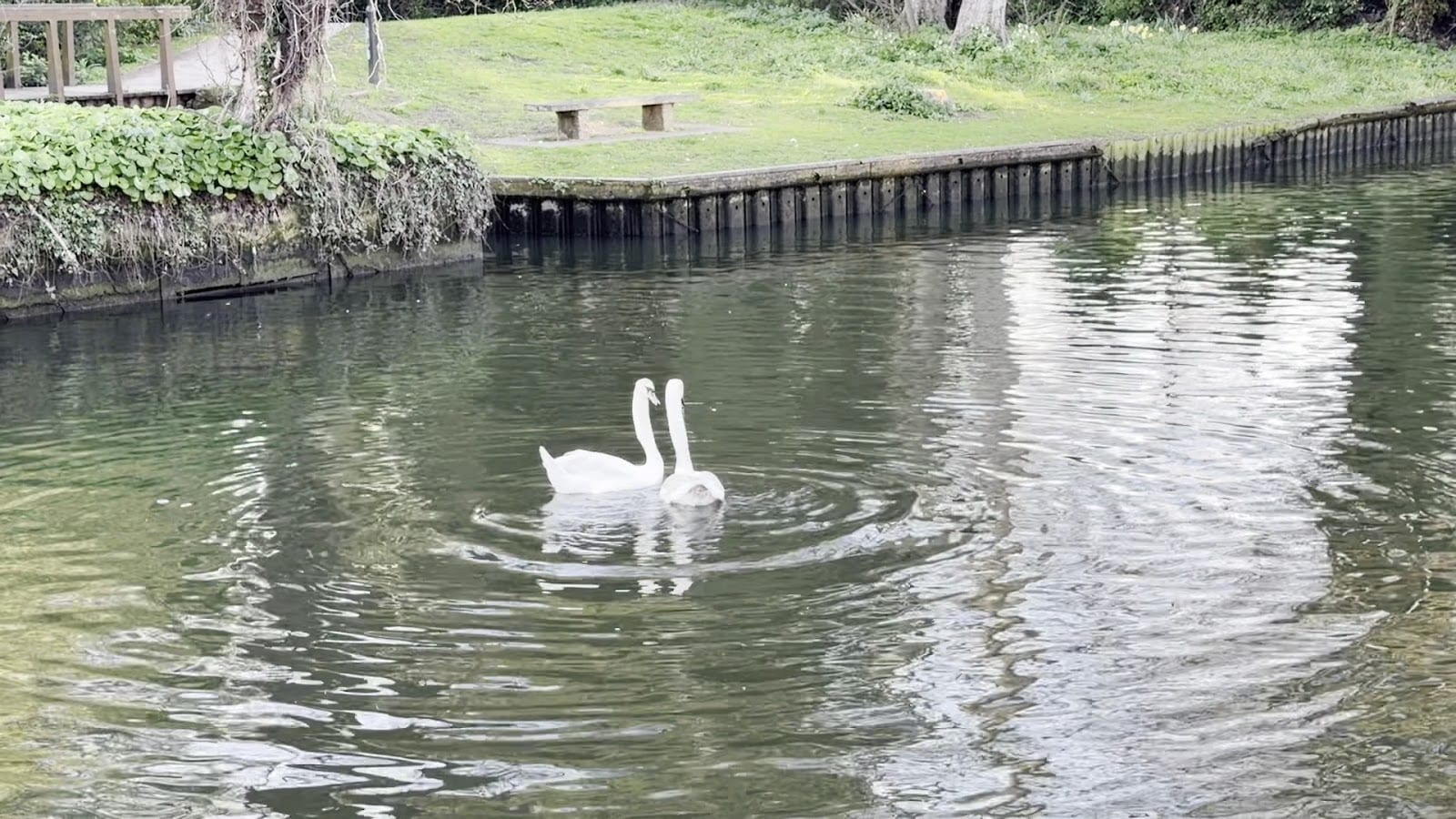 River Wensum, Norwich