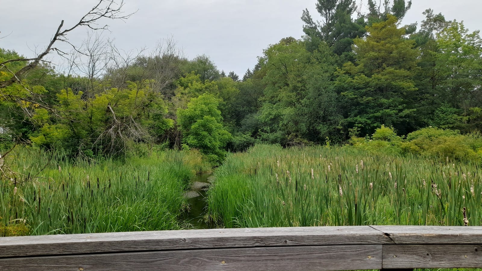 Parker Park, photo 3