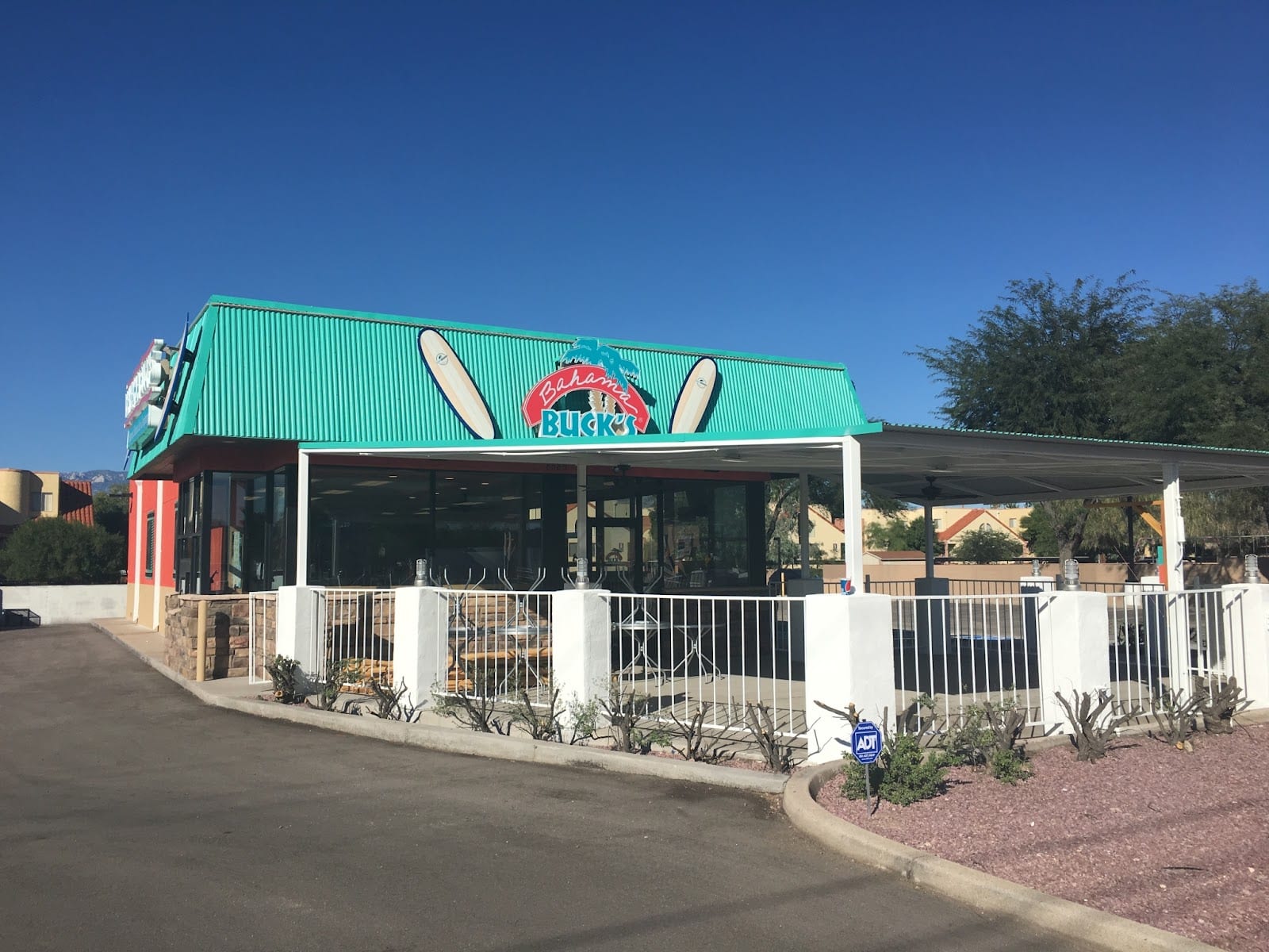 Bahama Buck's - Tucson, photo 2