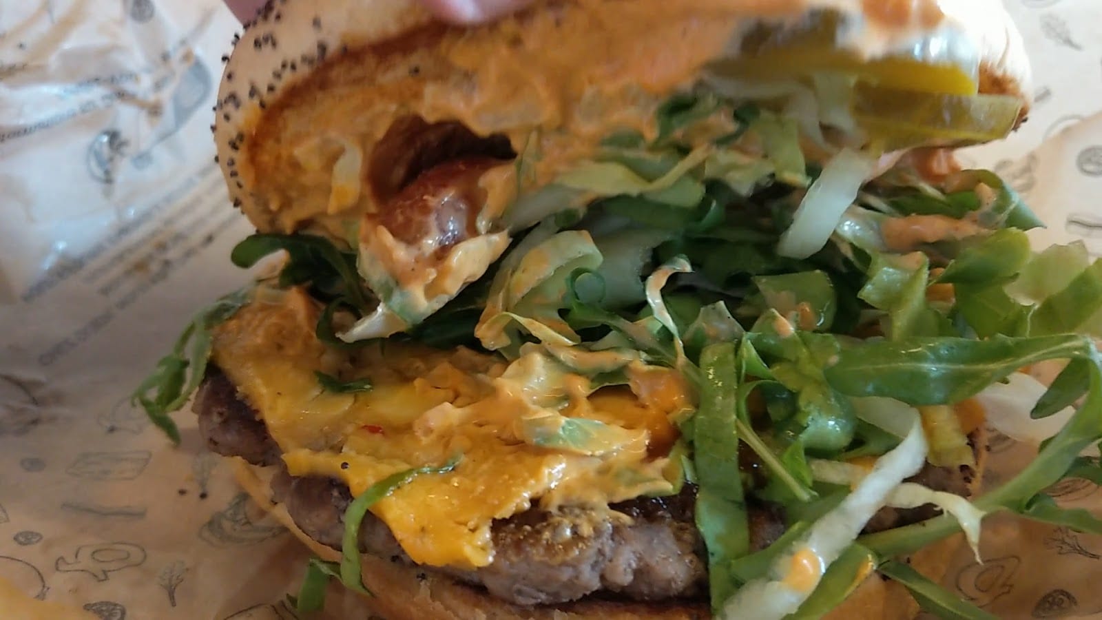 Quick, photo 4