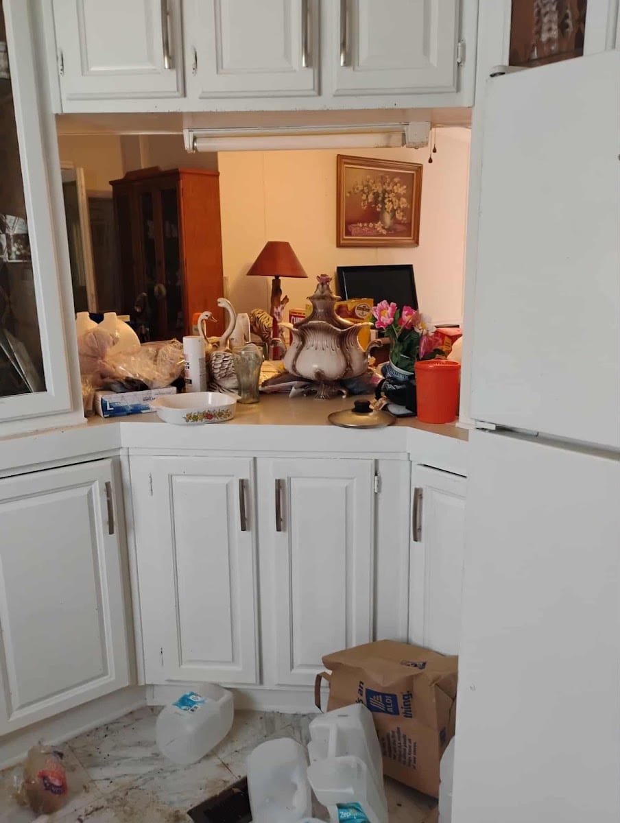 Touch of Gold Cleaning Specialist LLC, photo 2