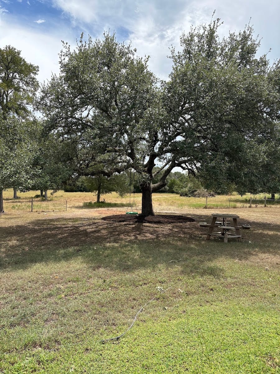 Brenham Trees, photo 3