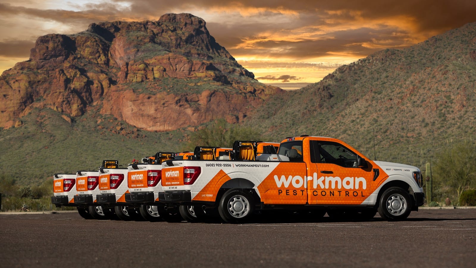 Workman Pest Control, photo 2
