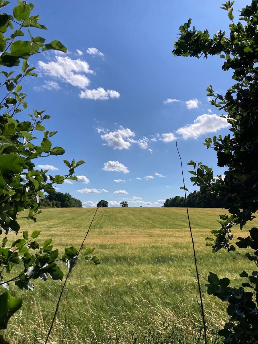 Sandridge Cricket Club