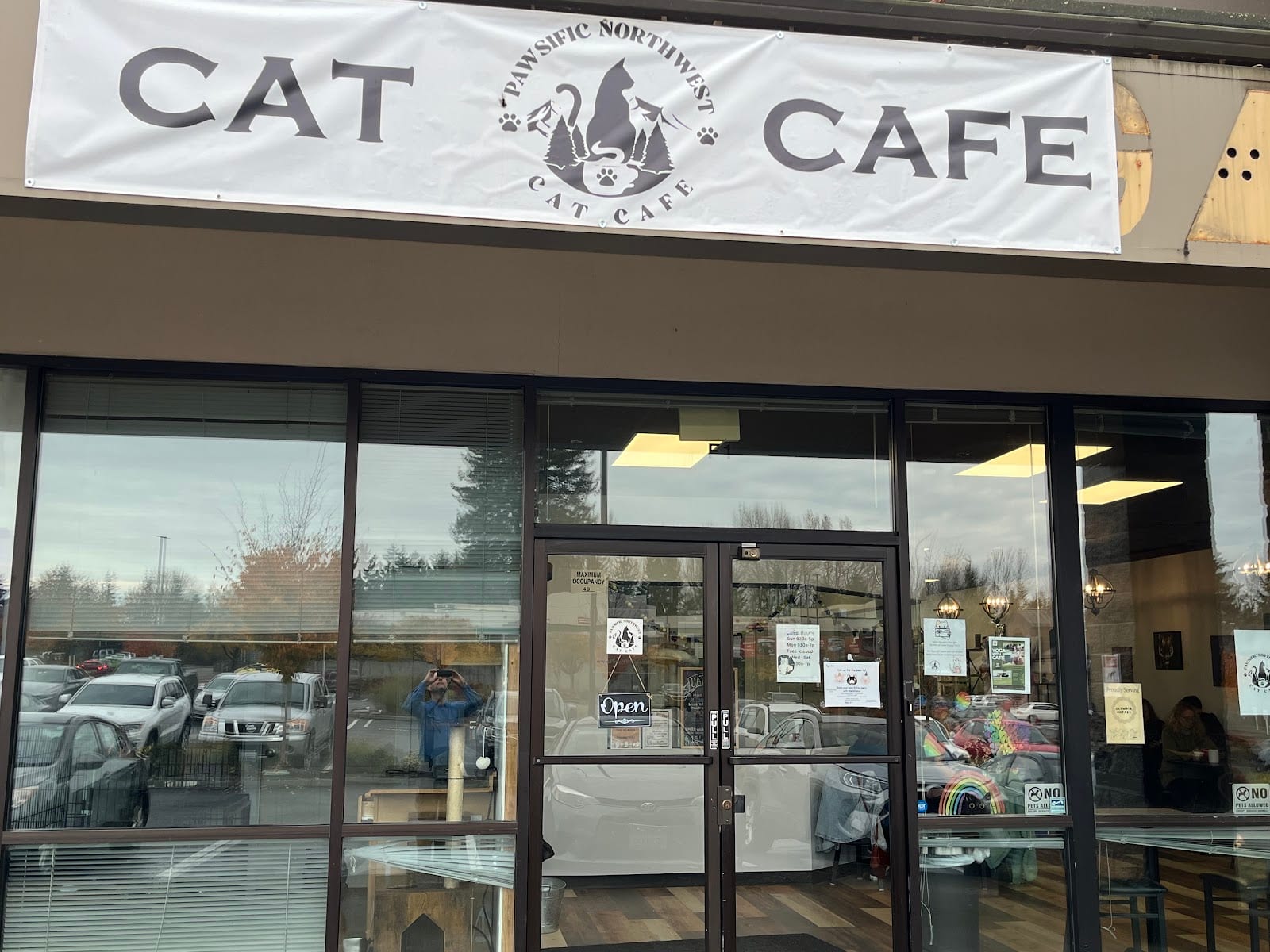 Pawsific NorthWest Cat Cafe