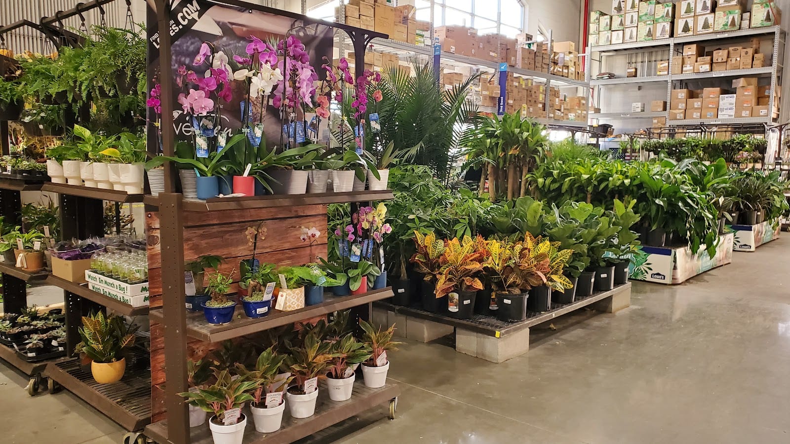 Lowe's Home Improvement, photo 3