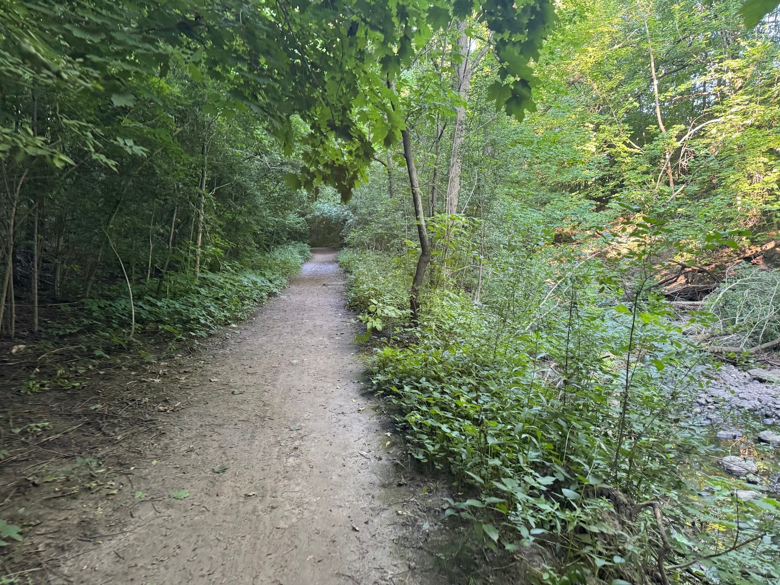 Newtonbrook Park