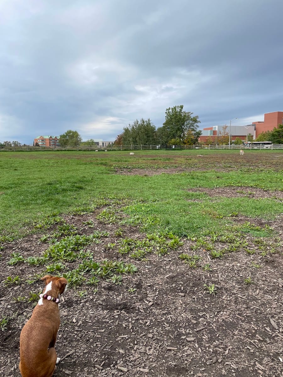 Colonel Samuel Smith Dog Park, photo 3