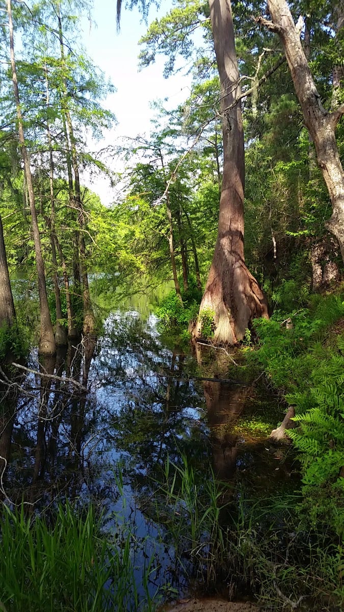 Stahl Preserve, photo 2