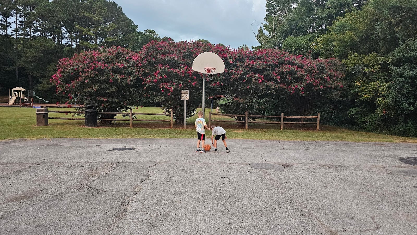 Basketball, photo 3