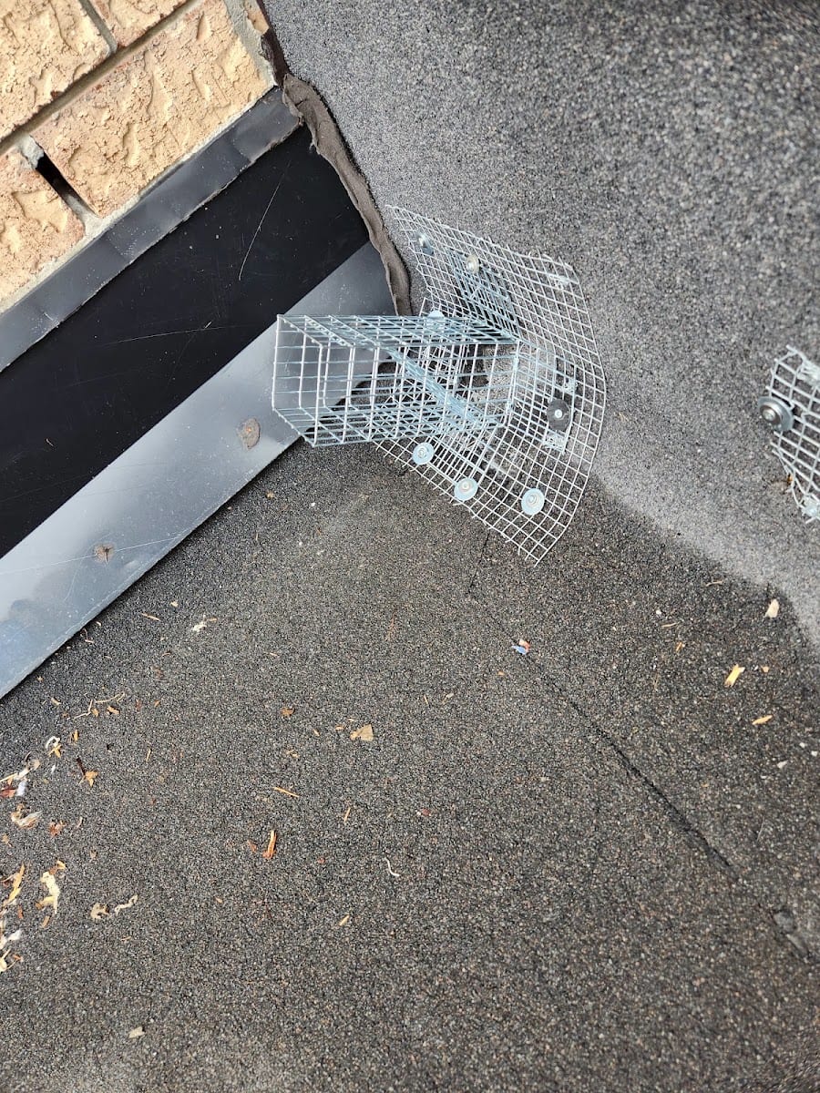 Britex Pest Control, photo 2