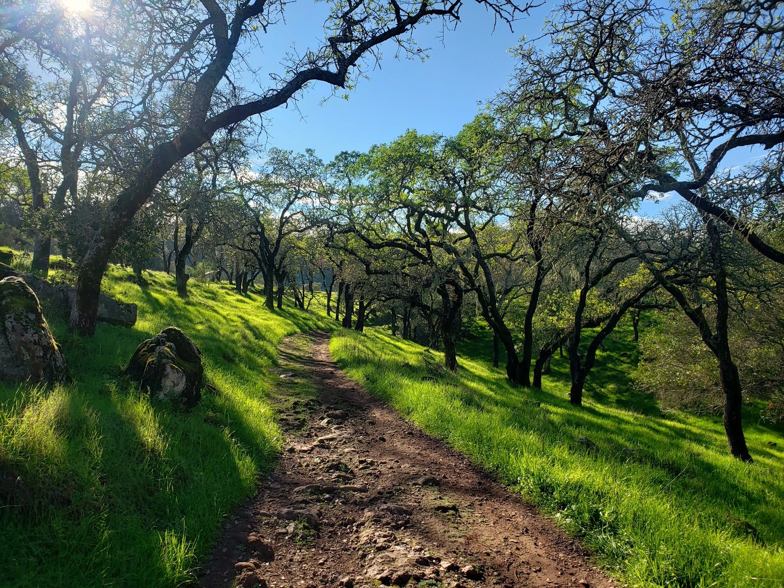 River-to-Ridge Trailhead