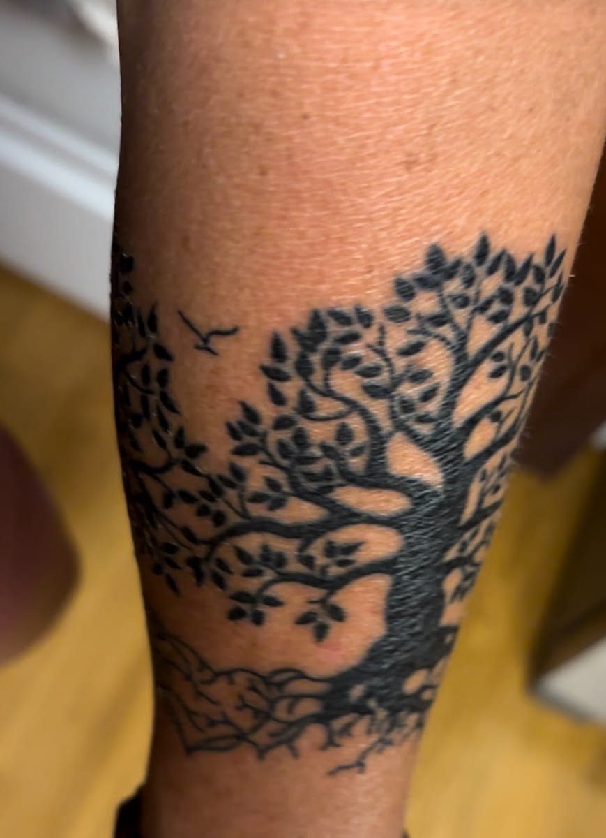 Black Cat Tattoo Studio