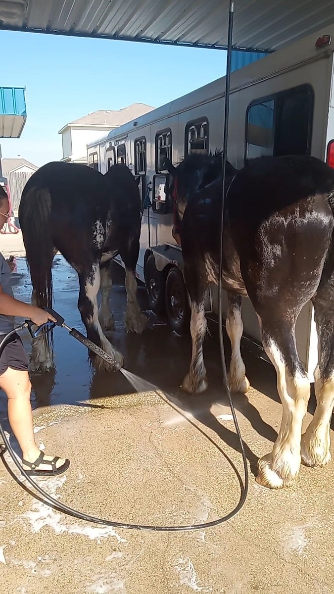 377 Car Wash, photo 2