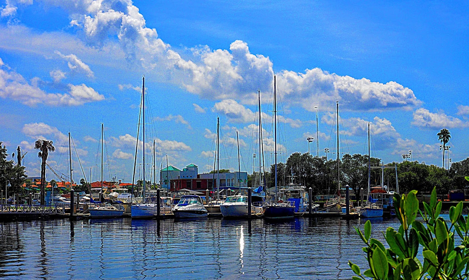 Marjorie Park Yacht Basin