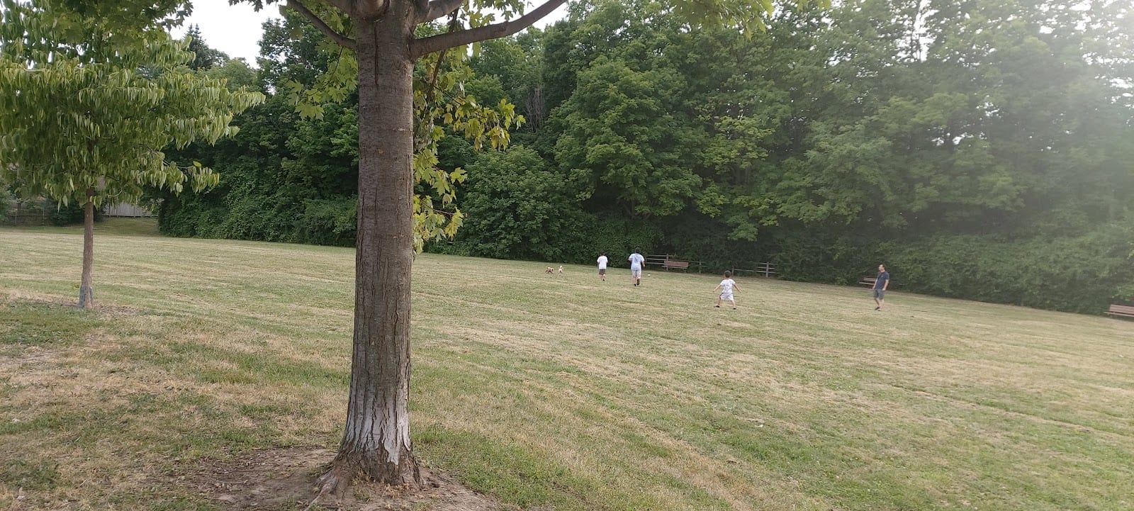 Pineway Park, photo 2