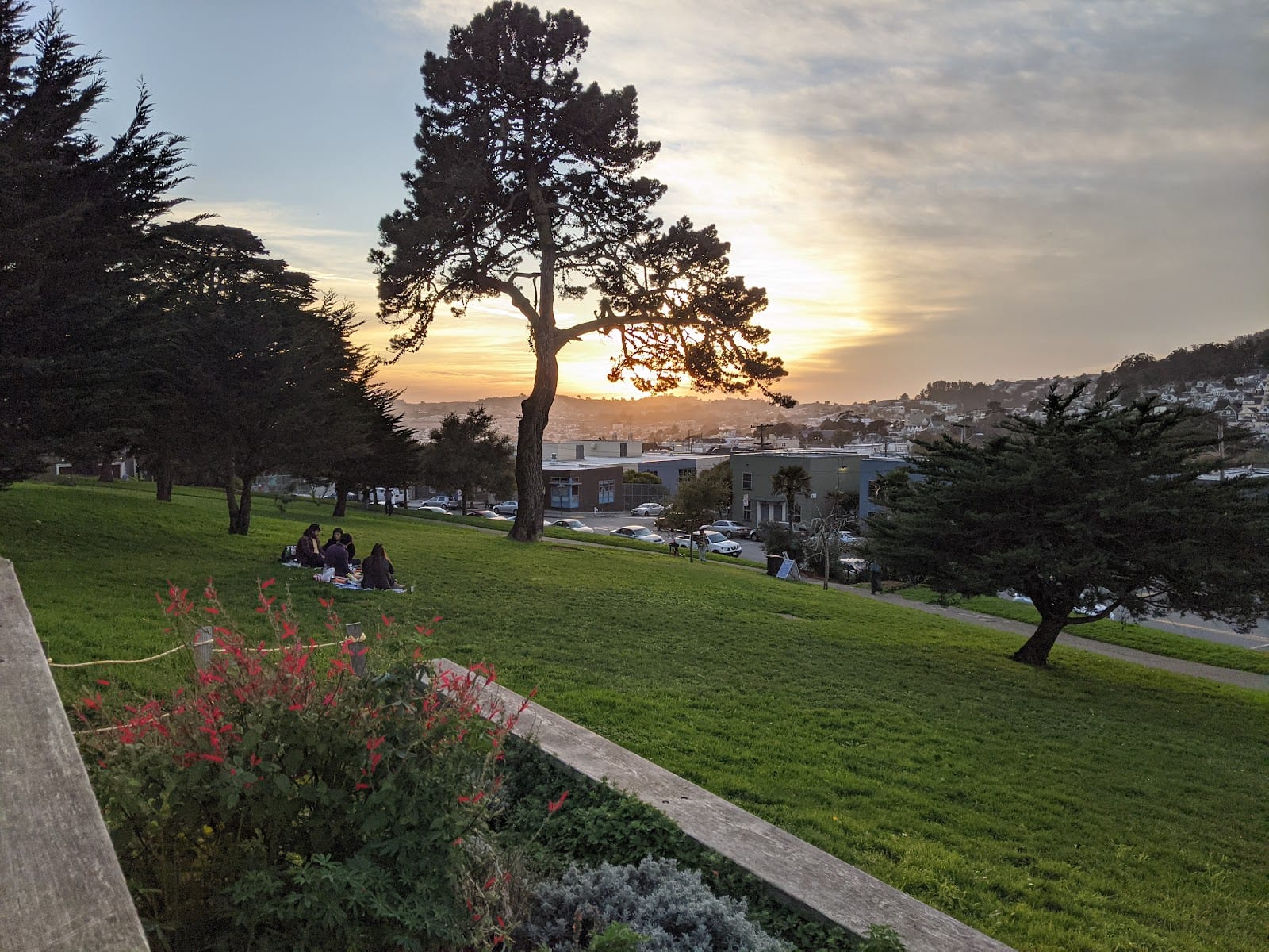 Holly Park, photo 3