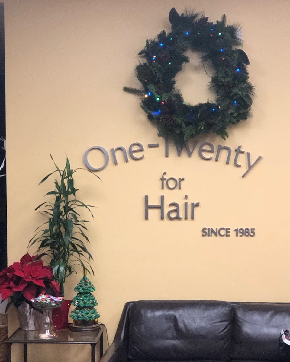 One Twenty for Hair, photo 4