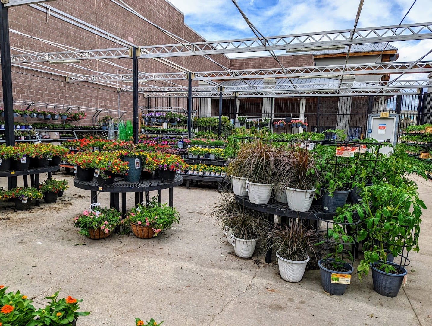Walmart Garden Center, photo 3