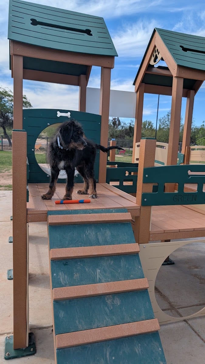 Wagging Tails Dog Park, photo 3