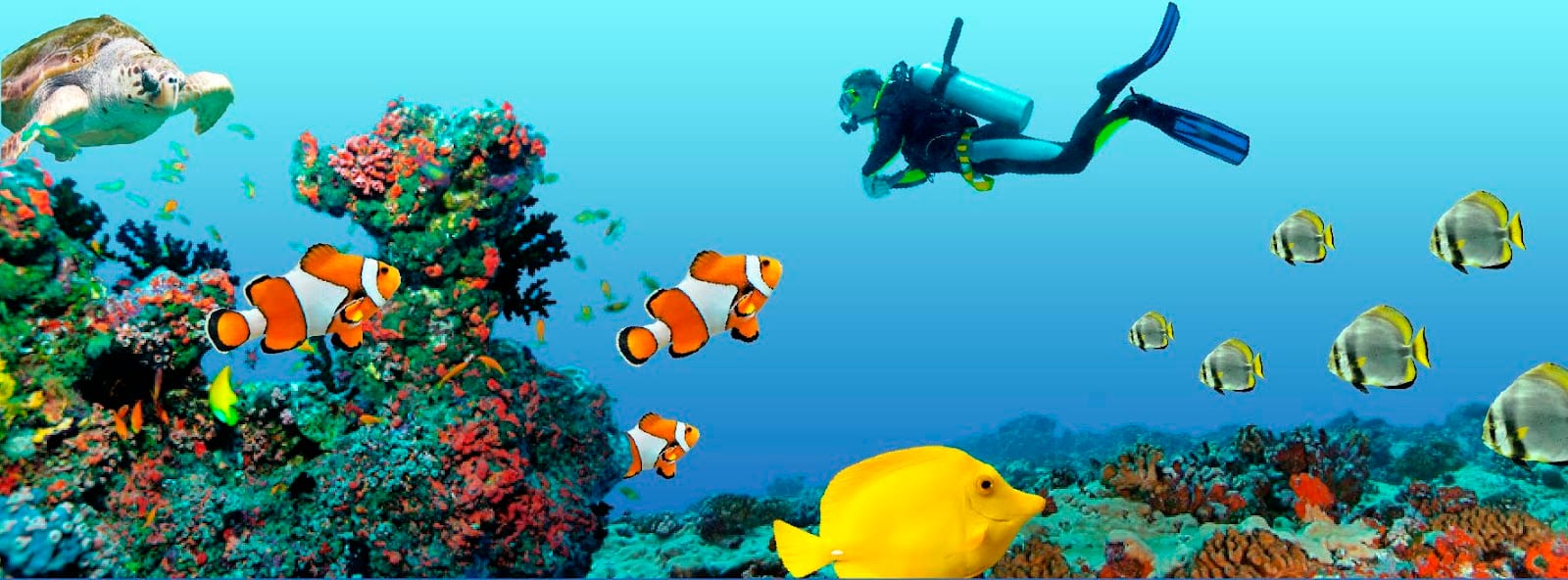 Ocean Dental, photo 3