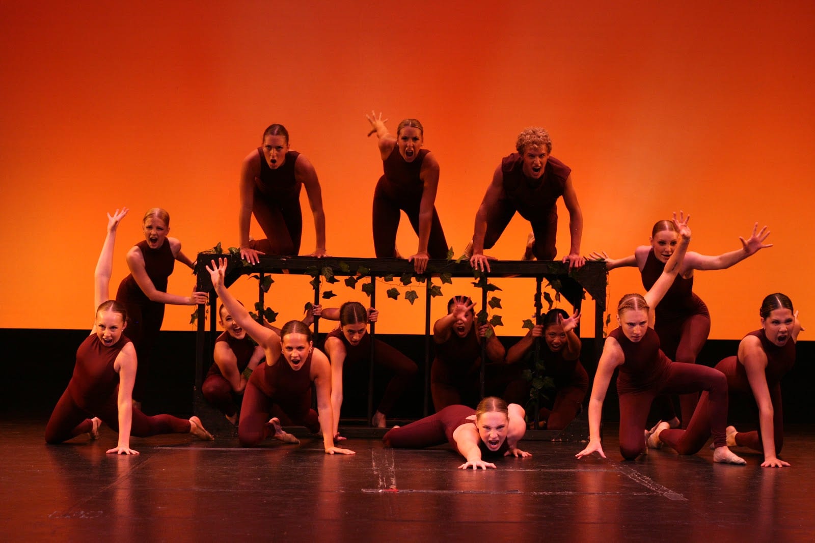 Academy of Danse, photo 3