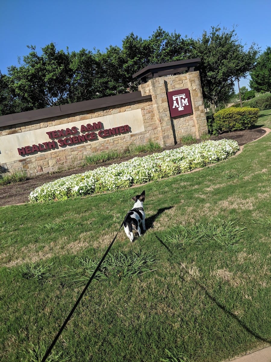 Texas A&M Health Science Center - Round Rock, photo 2