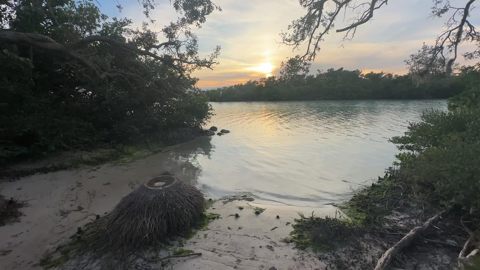 Lyons Bay Park, photo 2