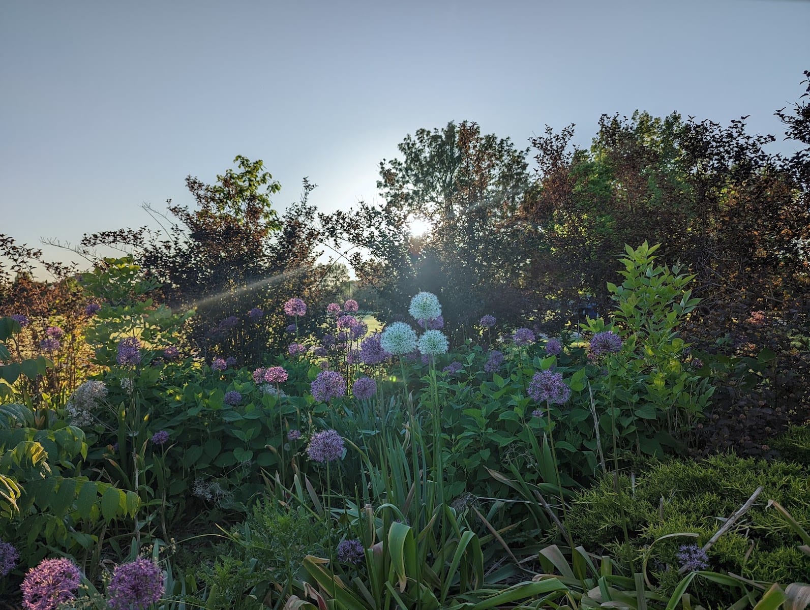 Driftwood Park, photo 3