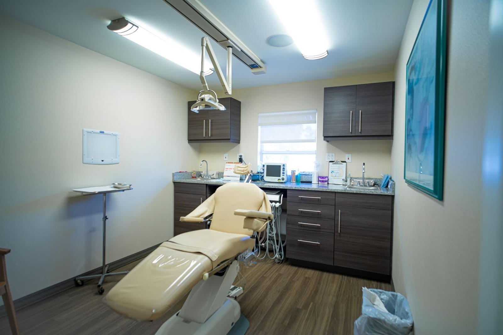 Tomeo & Tomeo Dental Impant & Oral Surgery Center, photo 3