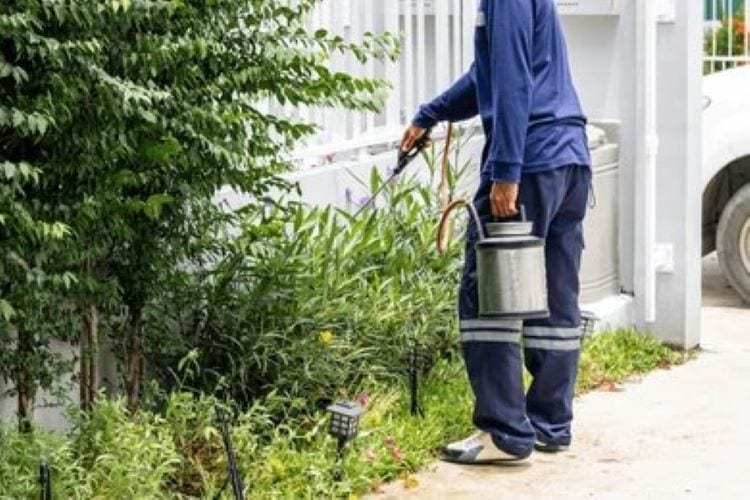 B&E Pest control services of sarasota FL, photo 4