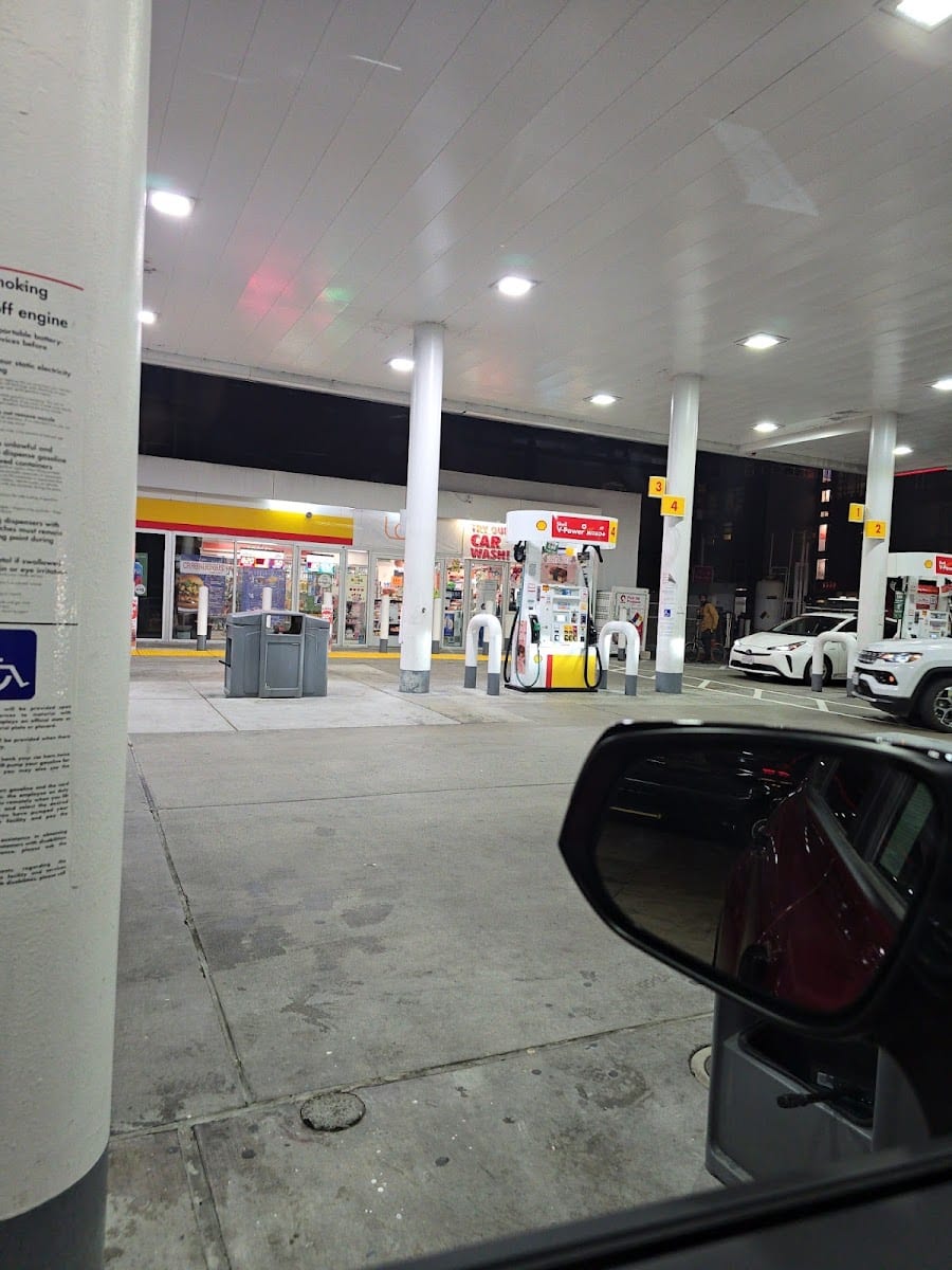 Shell, photo 4