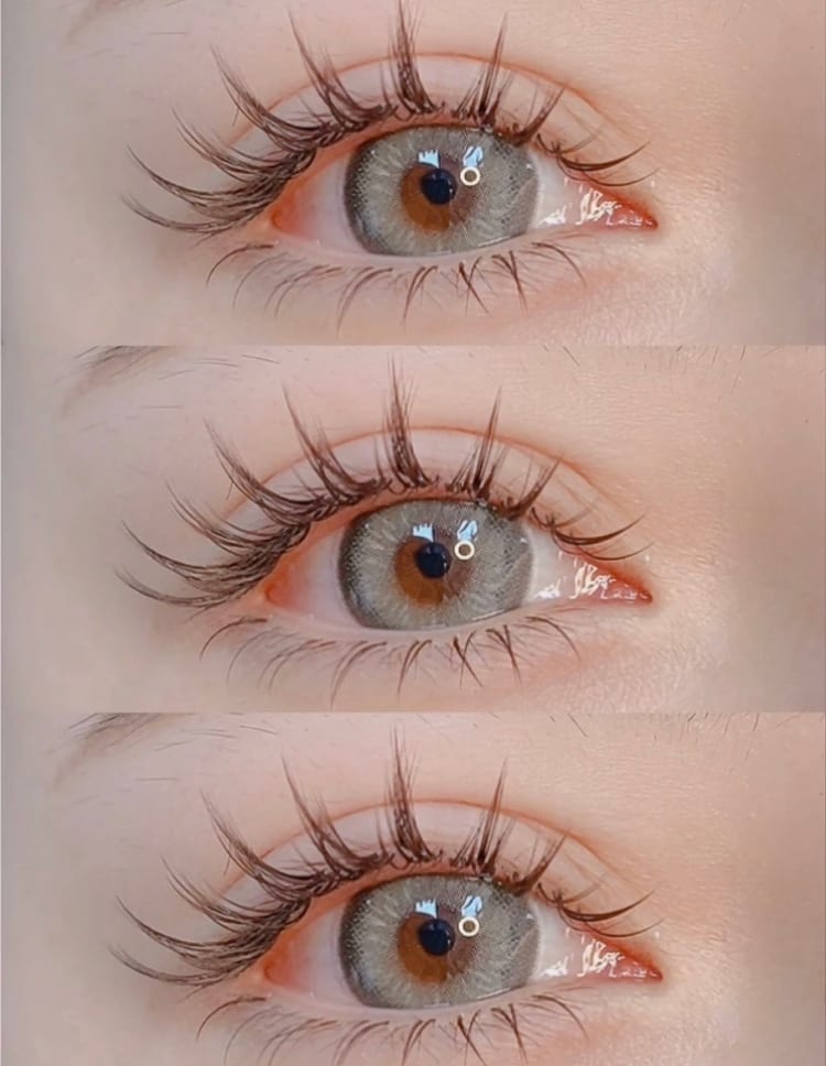 Lash S, photo 2