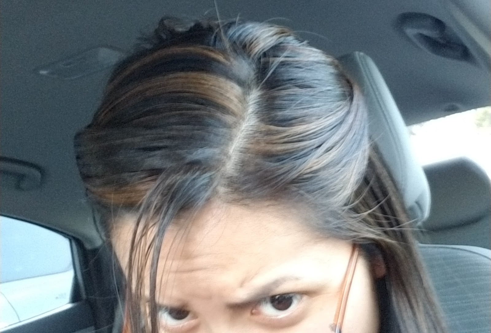 Blondologist, photo 3