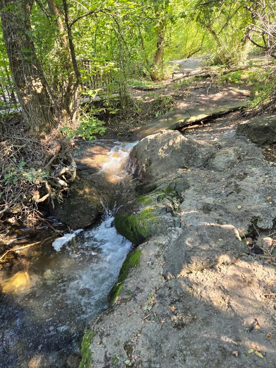 Von Baer Park