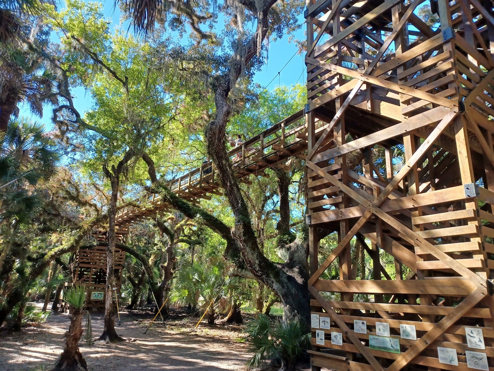 Myakka Canopy bridge/hiking trail parking lot and trail head, photo 3