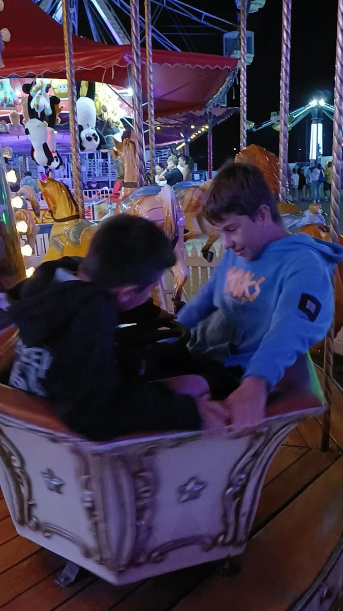 Wittingslow's Rye Carnival, photo 2