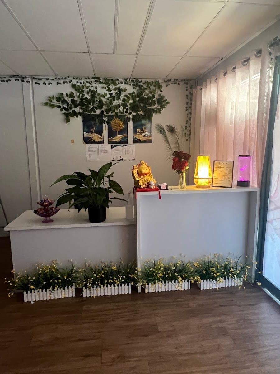 Sunshine Massage