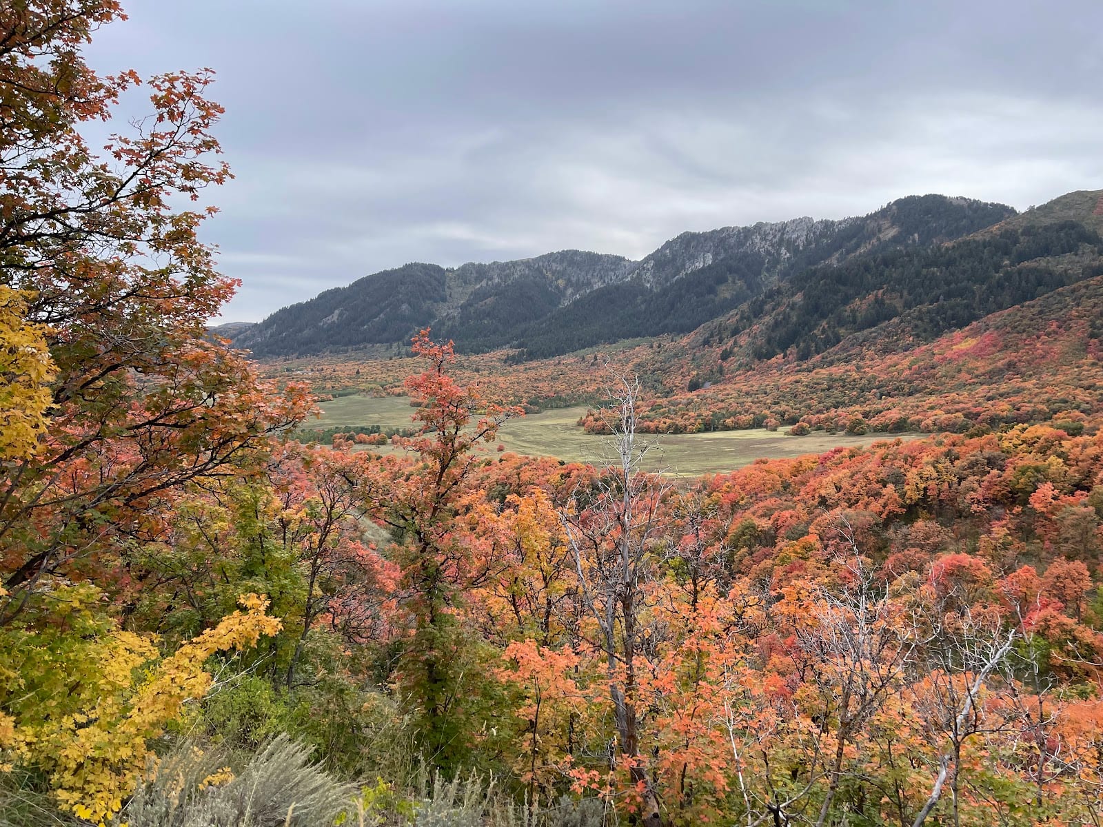 Wellsville trail