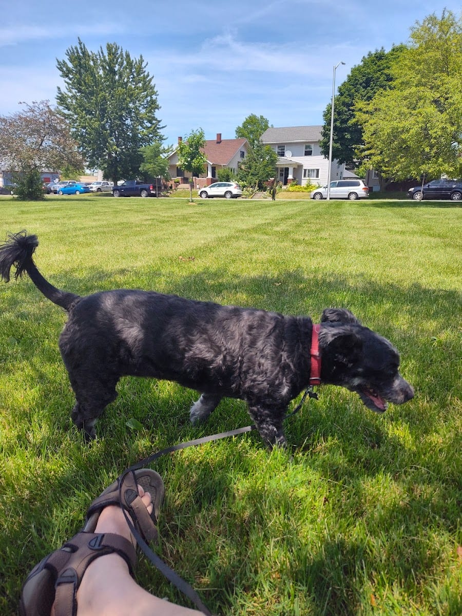 Williams Park, photo 3