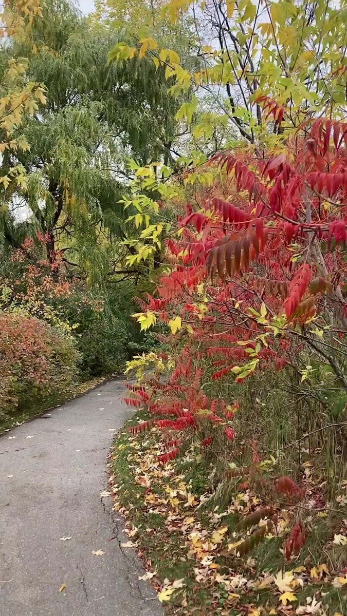 German Mills Greenway, photo 2