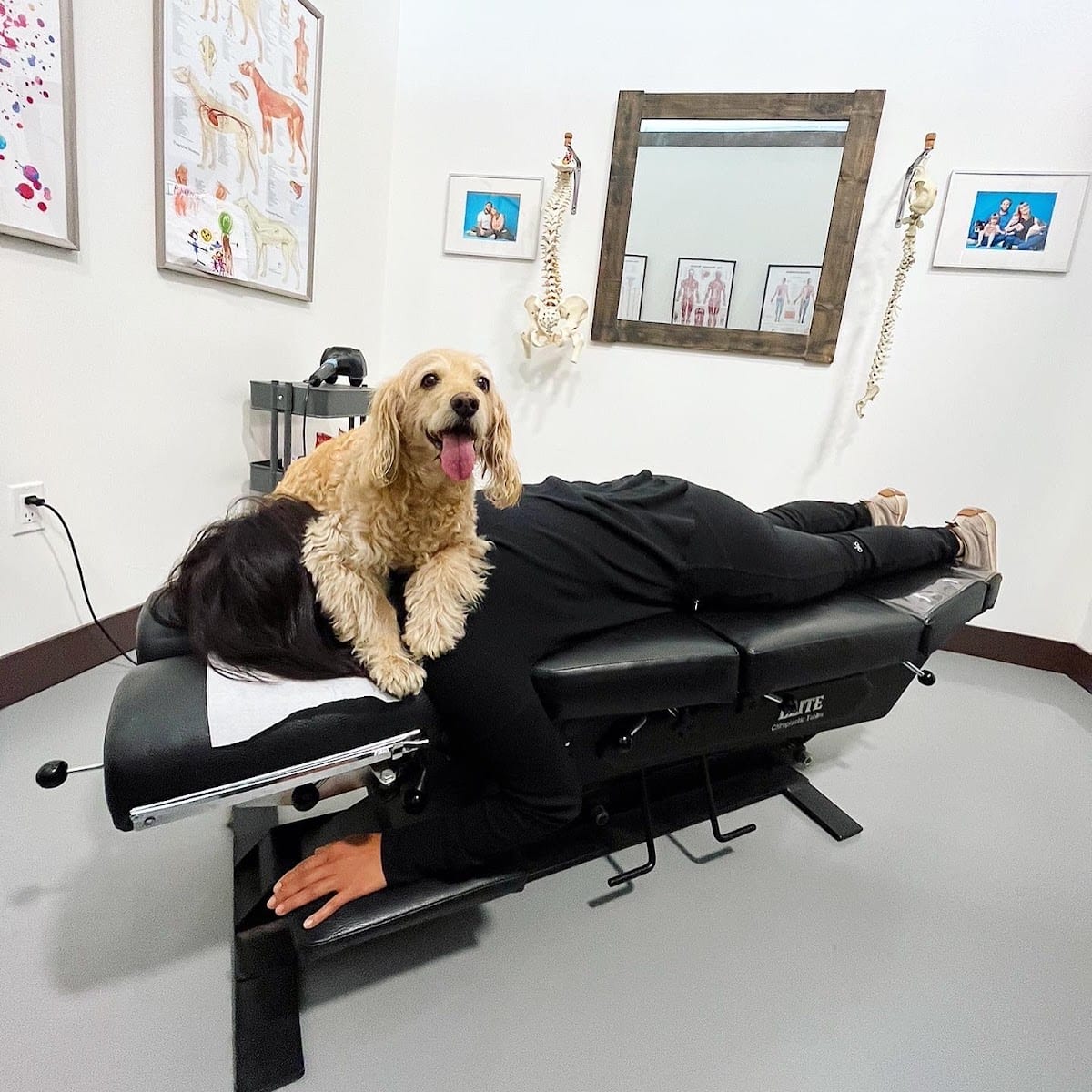 The Dog Joint & Stockyard Chiropractors, photo 4
