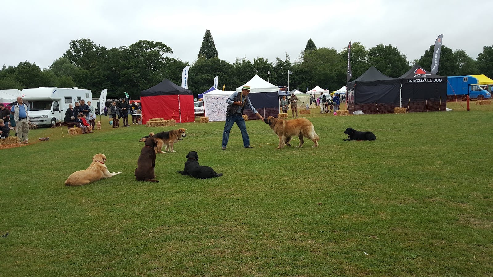 Highfield Park Trust, photo 3