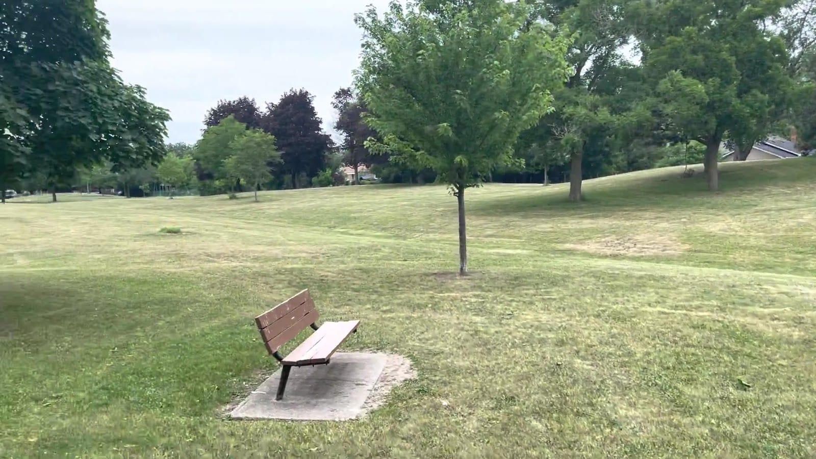 Ellison Park, photo 2