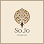 SoJo Chiropractic